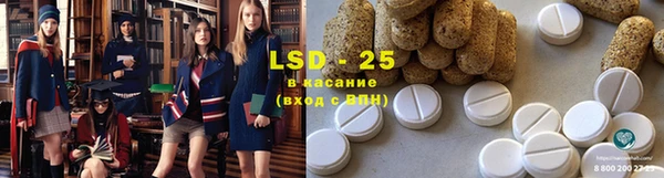 стафф Ельня