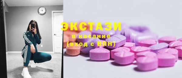 стафф Ельня