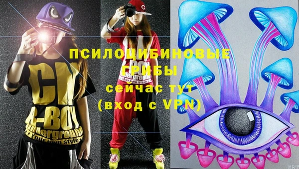 стафф Ельня