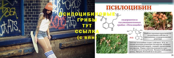 герыч Елизово